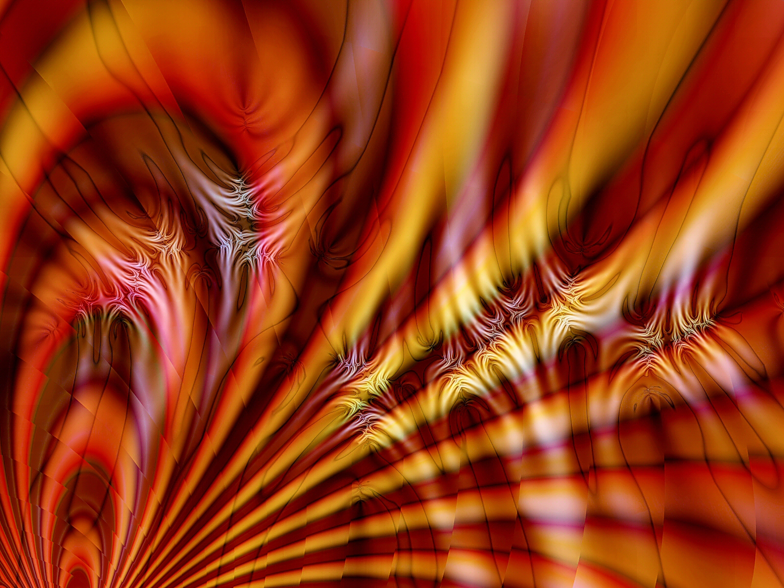 A Fractal Blaze