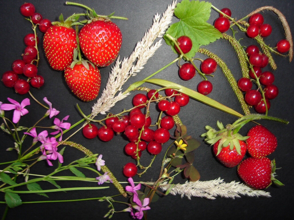 Garden Delights.