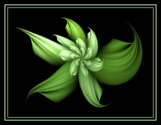 Rare Green Flower