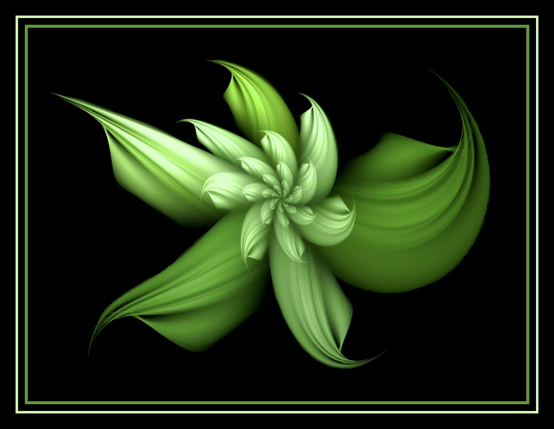 Rare Green Flower