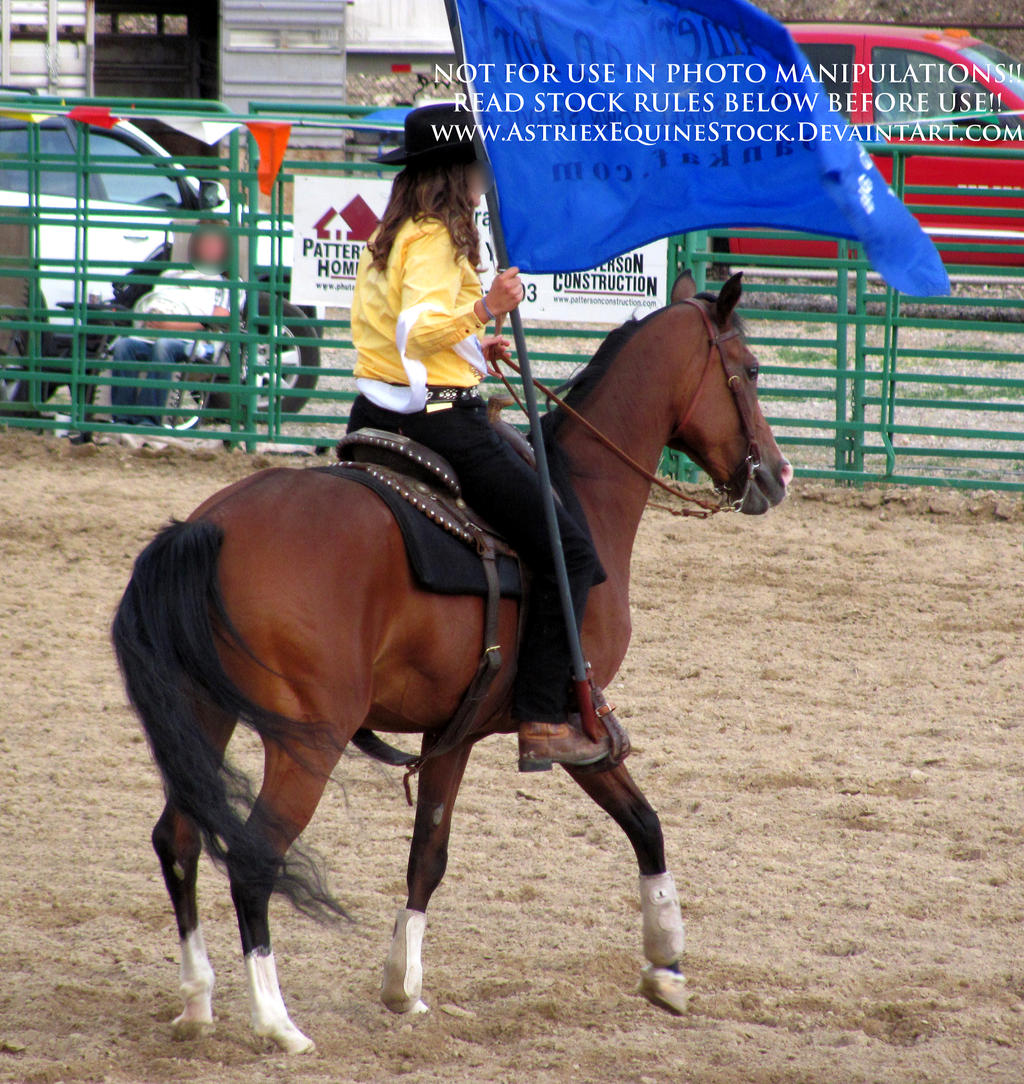 Rodeo-15 by AstriexEquineStock on DeviantArt