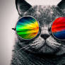 Cool Cat: All the Colors