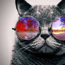 Cool Cat: Nature