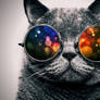 Cool Cat: Color
