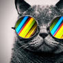 Cool Cat: Stripes