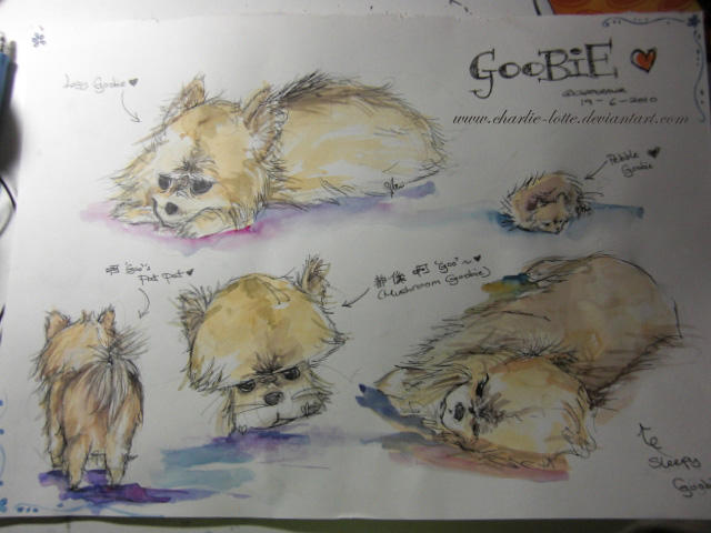 Goobie Goobie by charlie-lotte on DeviantArt