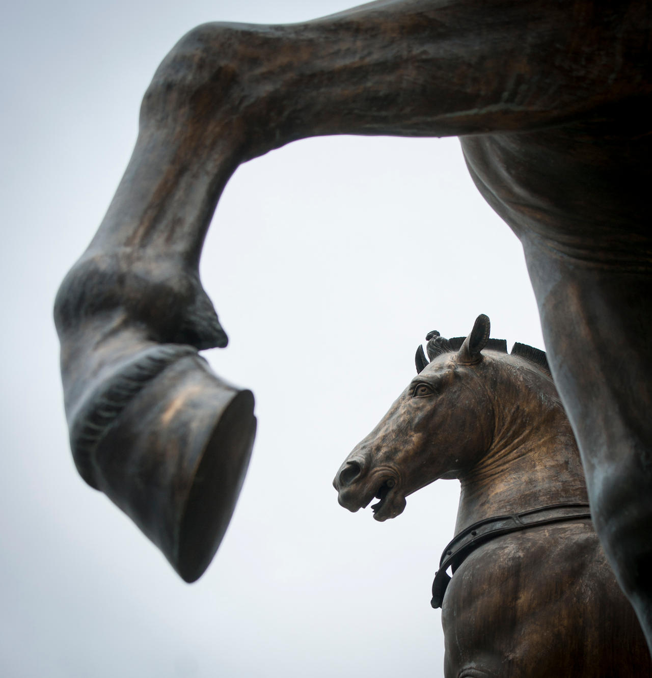 Horses of Saint Mark