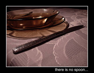 there is no spoon...