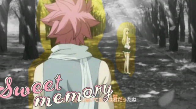 Fairy Tail Couple ~ NaLu 'Sweet Memory'