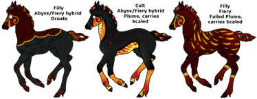 Abyss/Fiery foals
