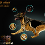 GSD adopt(auction)