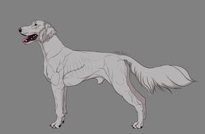 Ukrainian Pointer