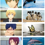 Free! Iwatobi Swim Club Characters: Animals