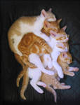 CatStack by roes