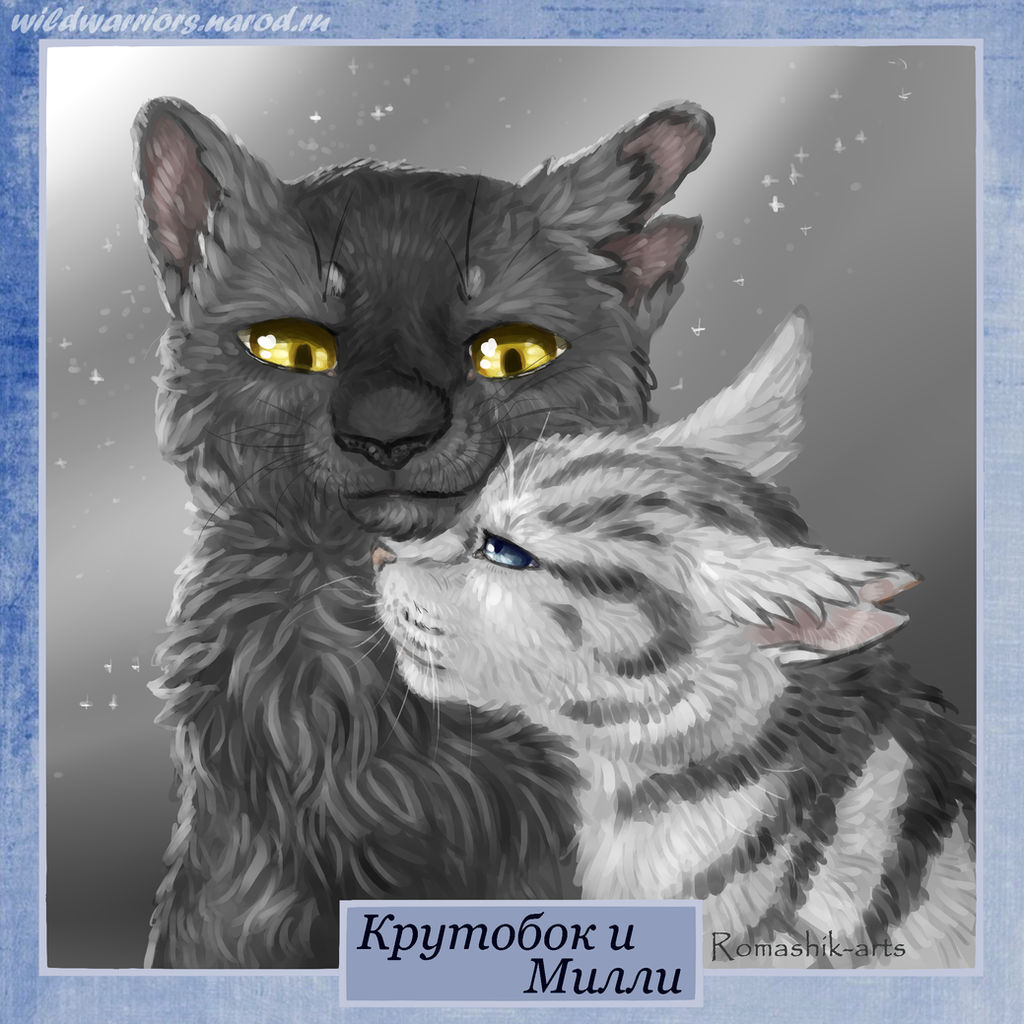 Graystripe and Millie. Warriors