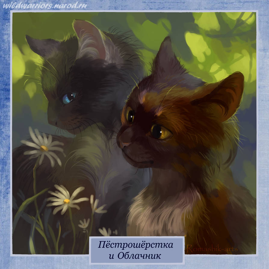 Коты воители 13. Коты Воители пестрошёрстка. Коты Воители облачник. Коты Воители Пестрошерстка. Коты Воители Чернохват.