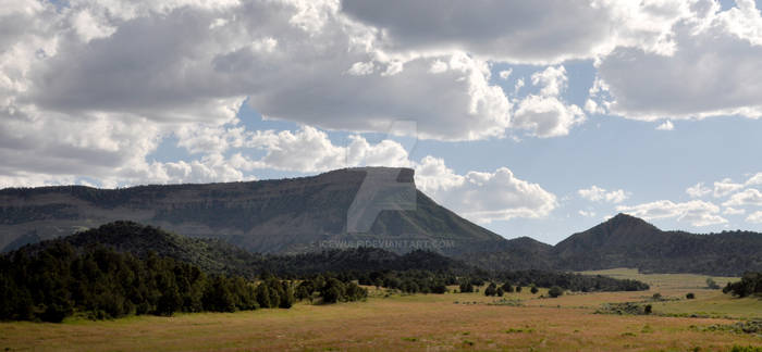 Colorado Landscape 1