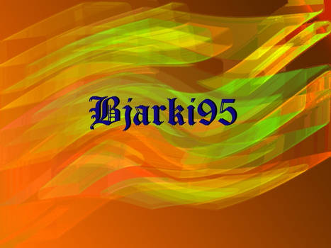 Bjarki95