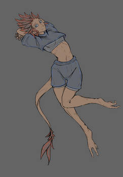 Form Sketch