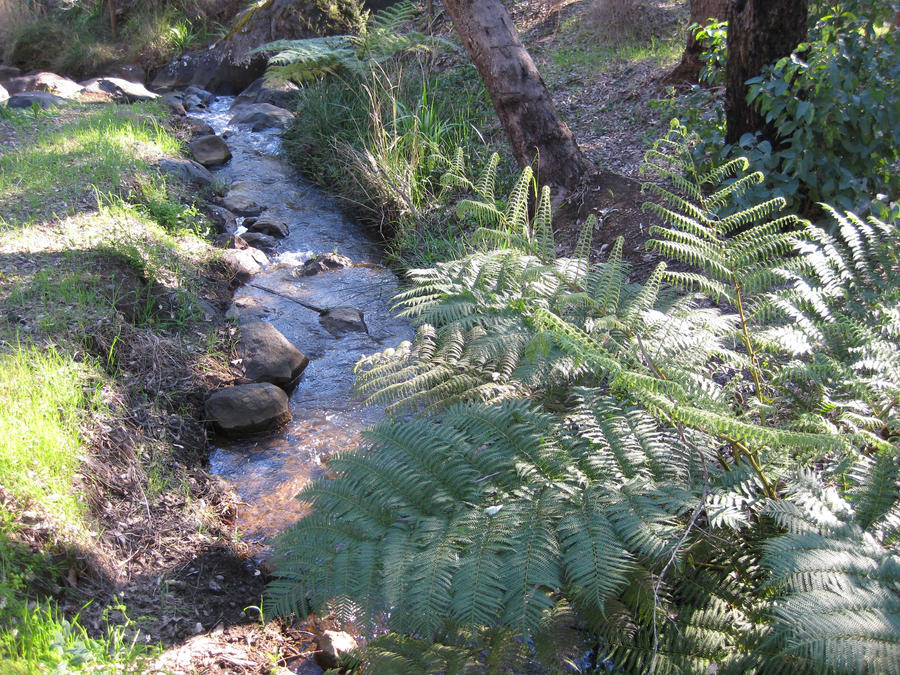 Lovely little creek