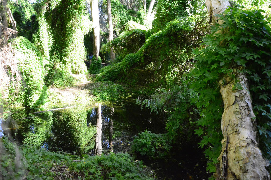 Secret Garden Gwelup 4 By Grumpysnapper On Deviantart