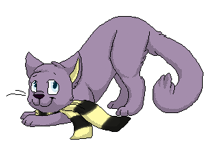 The cat, of purple