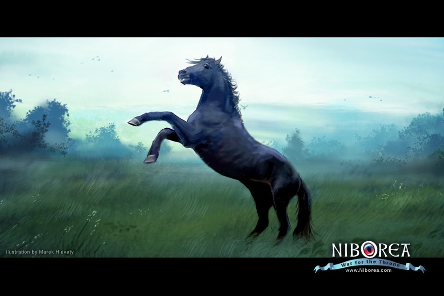 NIBOREA: The Stallion