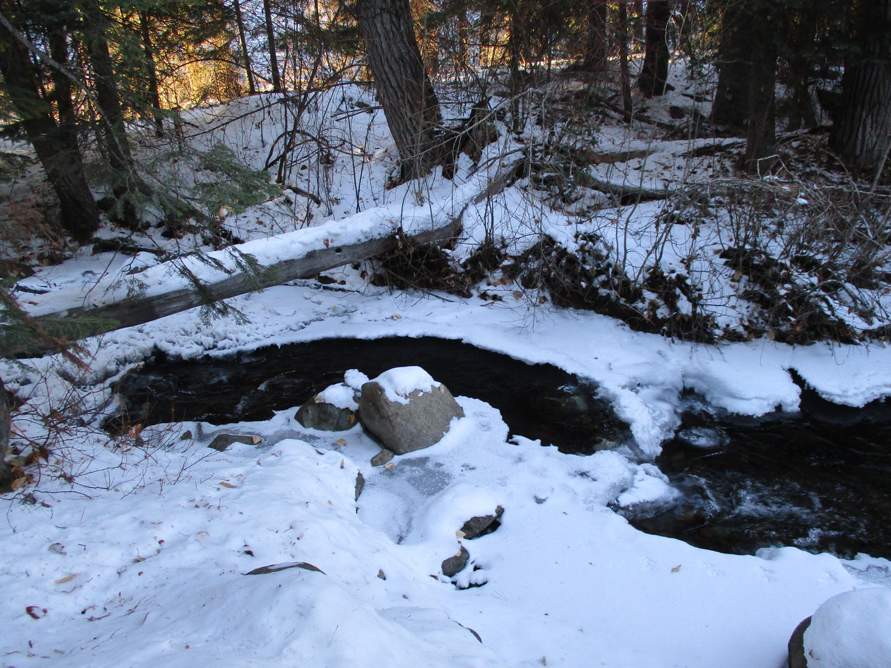 The Frozen Brook