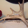 Moose antler