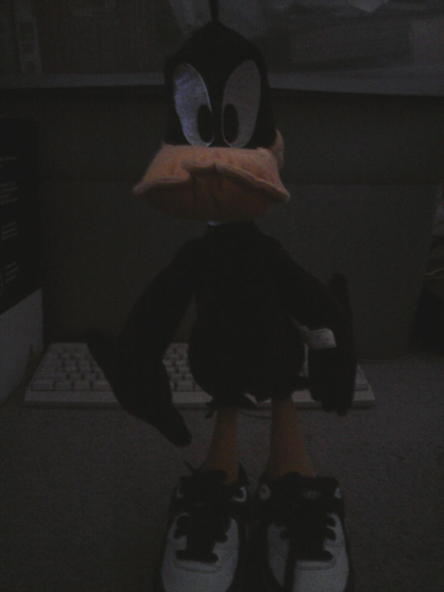 Me and My Sister's Daffy Duck Doll