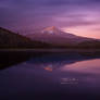 Twilight at Trillium Lake