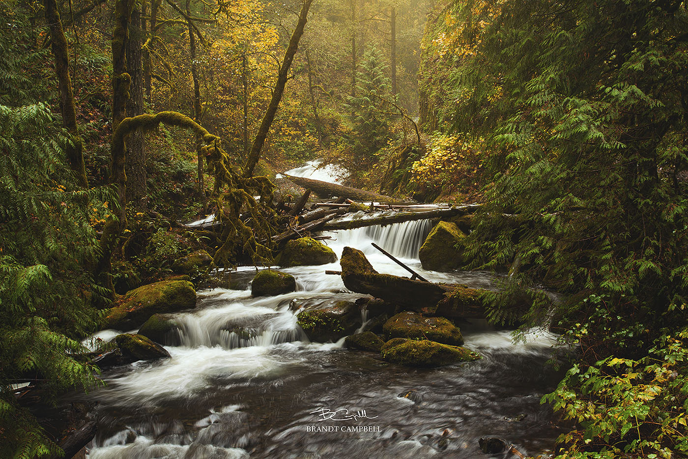 Autumn Tranquility