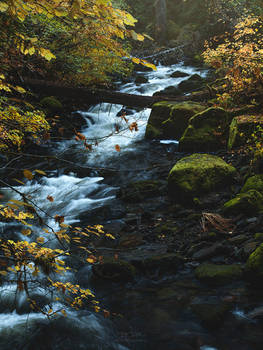 Golden Autumn Cascades