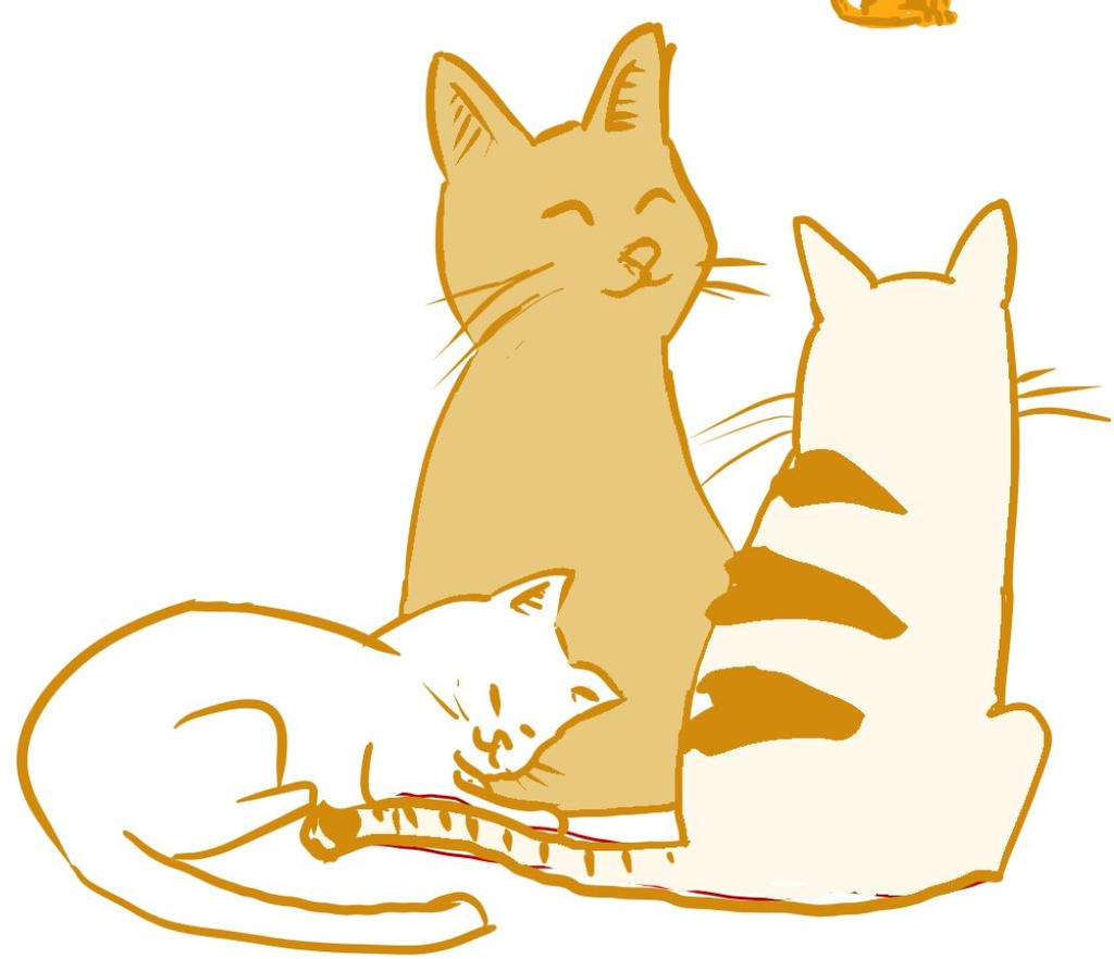 Malmal Cats
