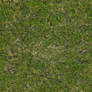 Seamless tileable grass texture