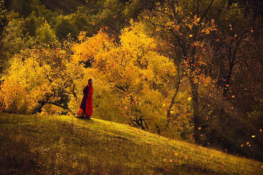 Lord of autumn. Beleriand. by Fealin-Meril