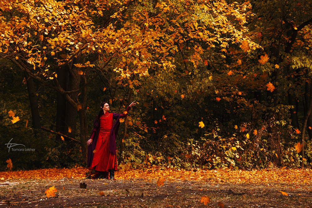 Lord of autumn. Beleriand. by Fealin-Meril