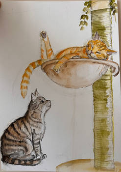 A Slice of Life with My Cats