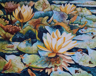 Still in love with Water Lilies