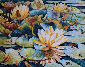 Still in love with Water Lilies