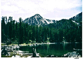 By the shores of Silver Lake