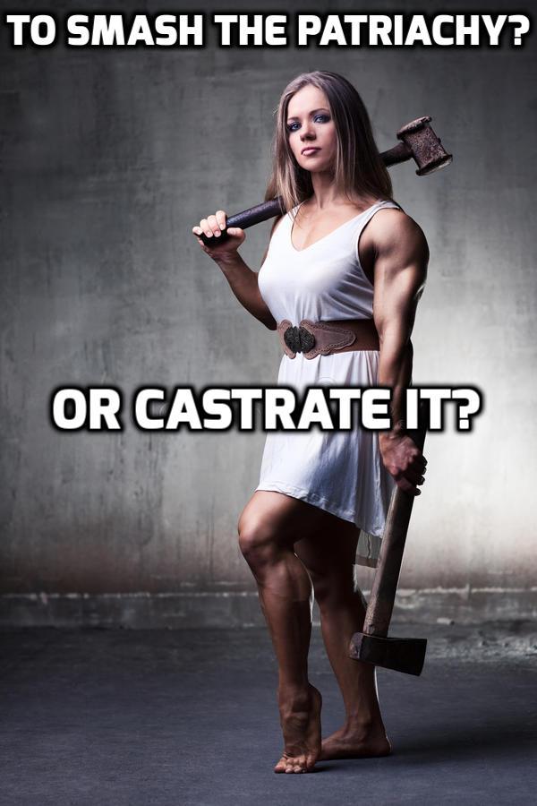 Deviantart Patriarchy To smash the patriarchy....? by oriongynocrat on DeviantArt