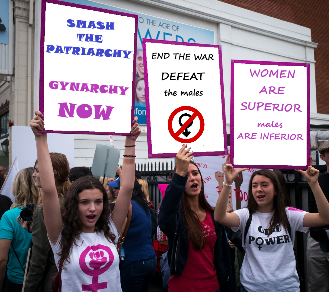 Gynarchic Revolution demonstrations 1 by oriongynocrat on DeviantArt