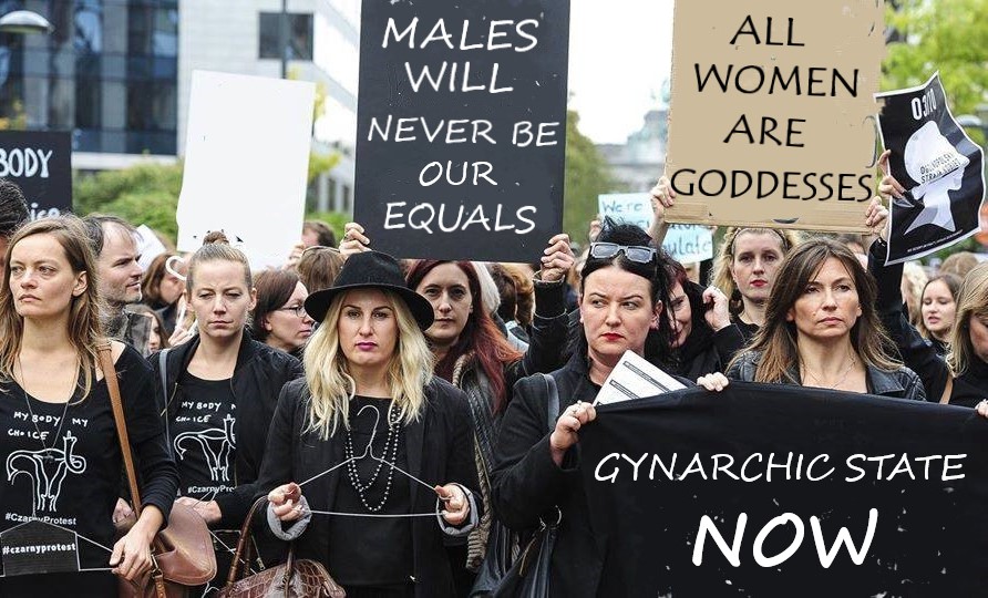 Gynarchic Revolution demonstrations 2 by oriongynocrat on DeviantArt