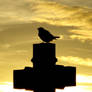 bird on tombstone