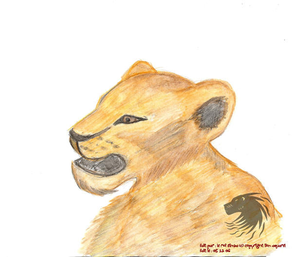 Lionceau Realiste Aquarelle By Kimy Leroisimba On Deviantart Lionceau Realiste Aquarelle By Kimy Leroisimba On Deviantart