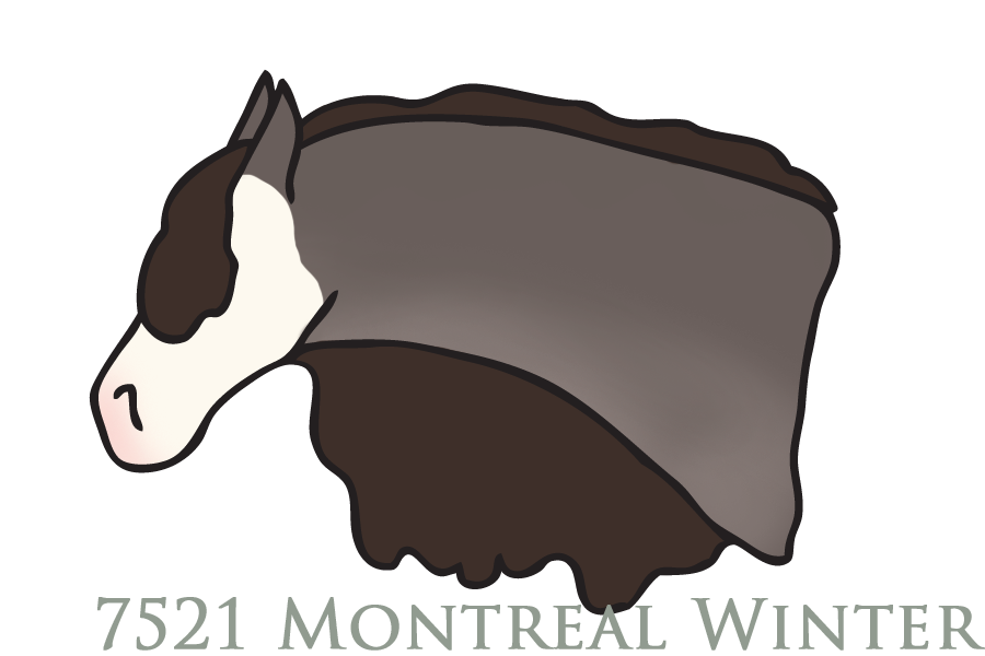 7521 Montreal Winter