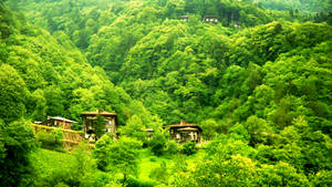 Ayder Plateau.