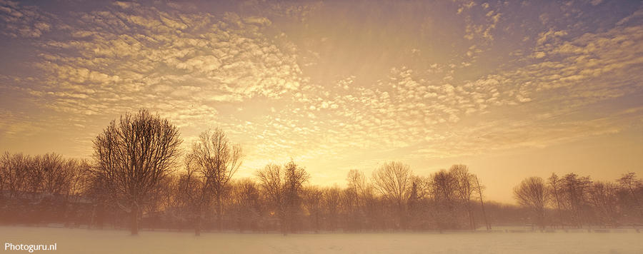 Wintermist by Guidonr1