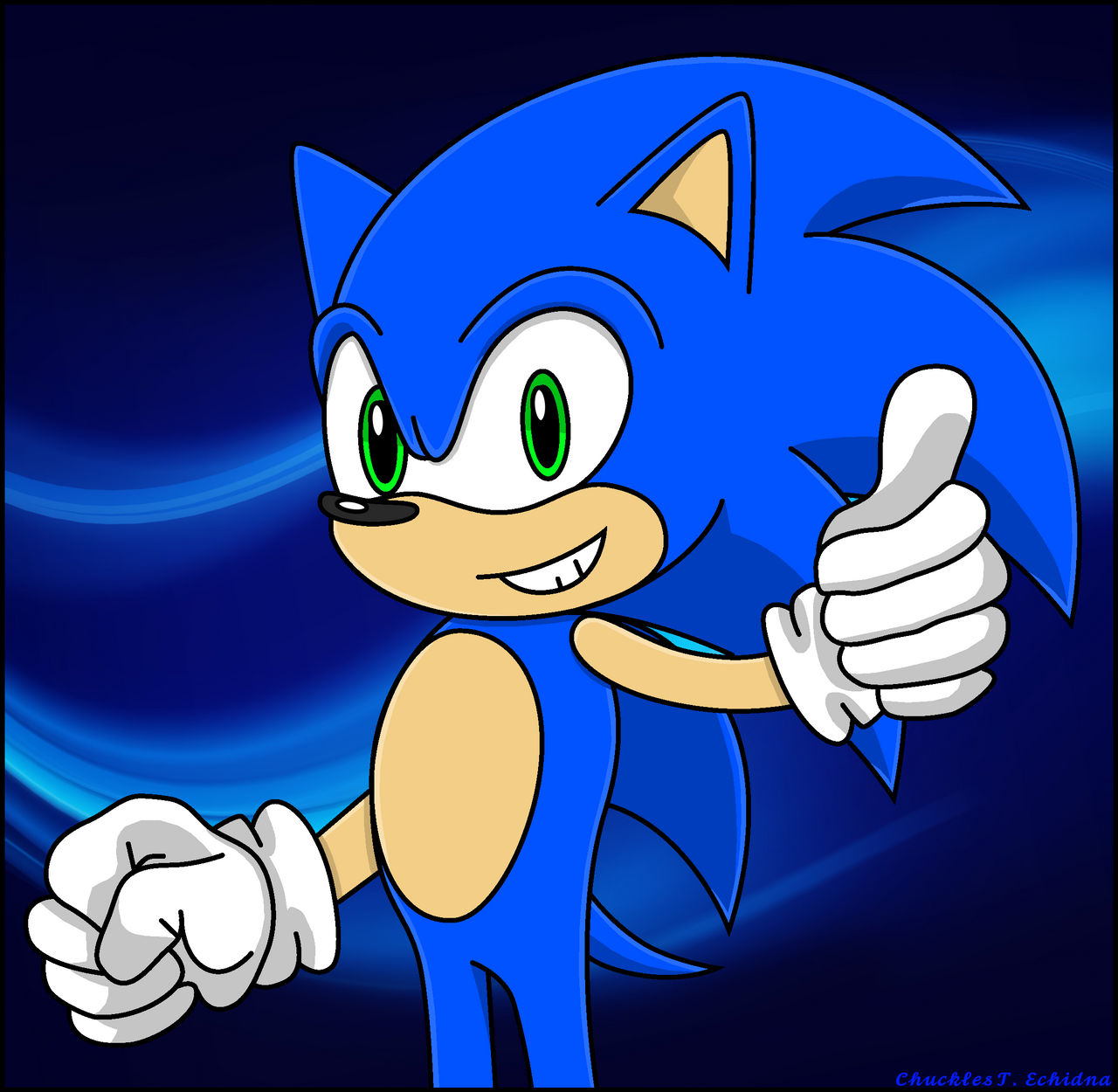 Sonic The Hedgehog by ChucklesTCP on DeviantArt